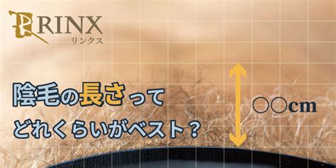 陰毛 長|陰毛の長さの理想や整え方を男性向けに解説 